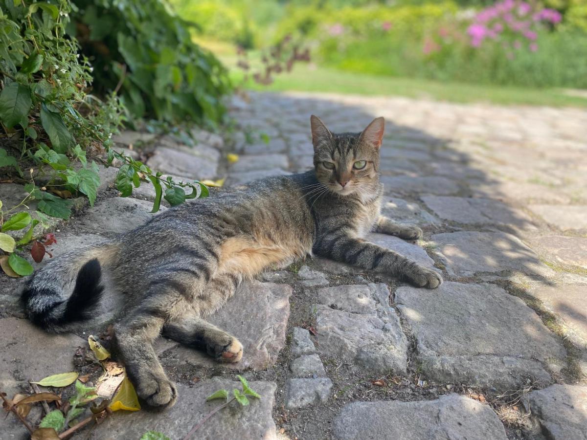 לינה וארוחת בוקר אבוויל Au Jardin Des Deux Ponts מראה חיצוני תמונה