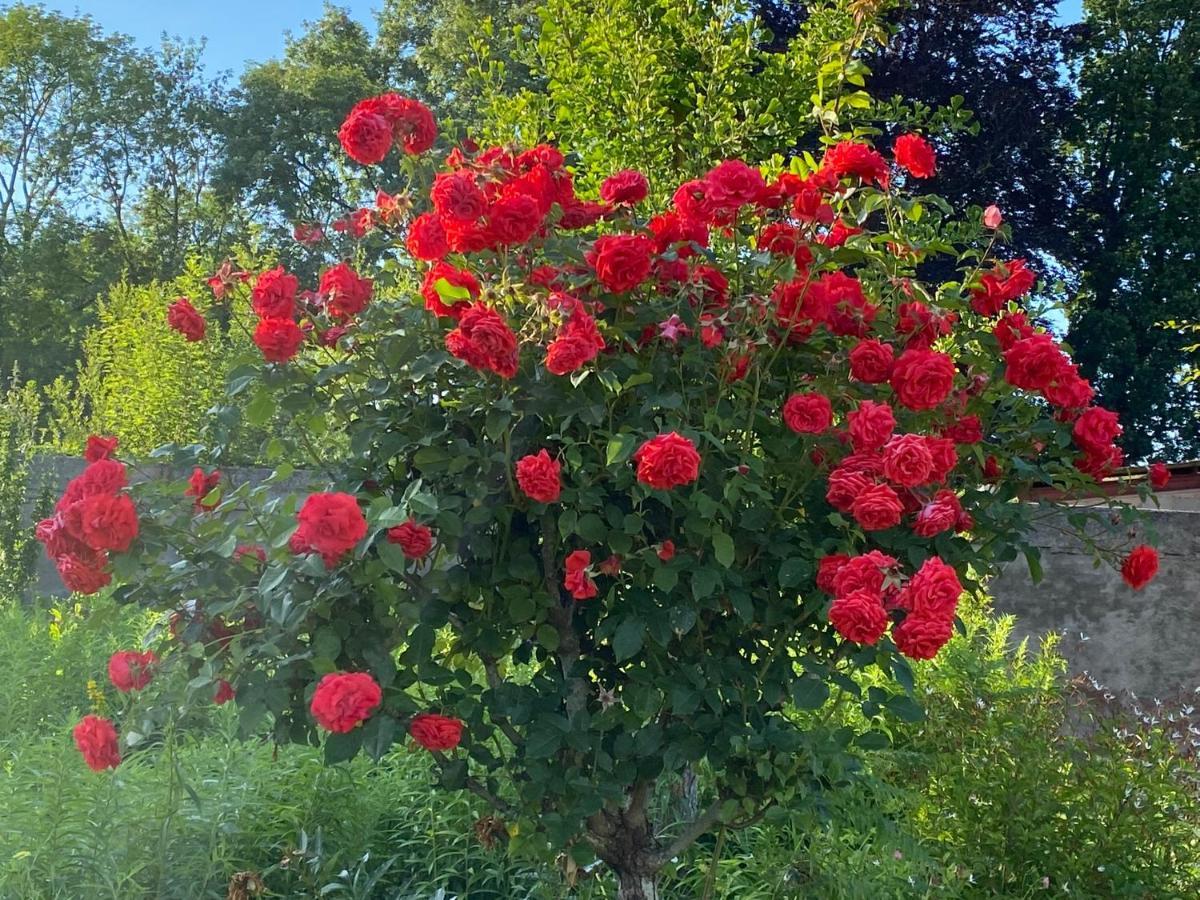 לינה וארוחת בוקר אבוויל Au Jardin Des Deux Ponts מראה חיצוני תמונה