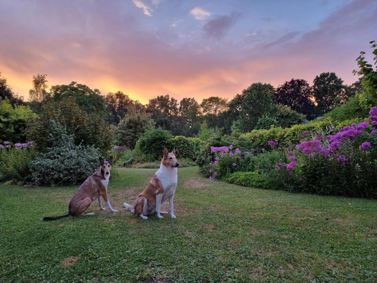 לינה וארוחת בוקר אבוויל Au Jardin Des Deux Ponts מראה חיצוני תמונה