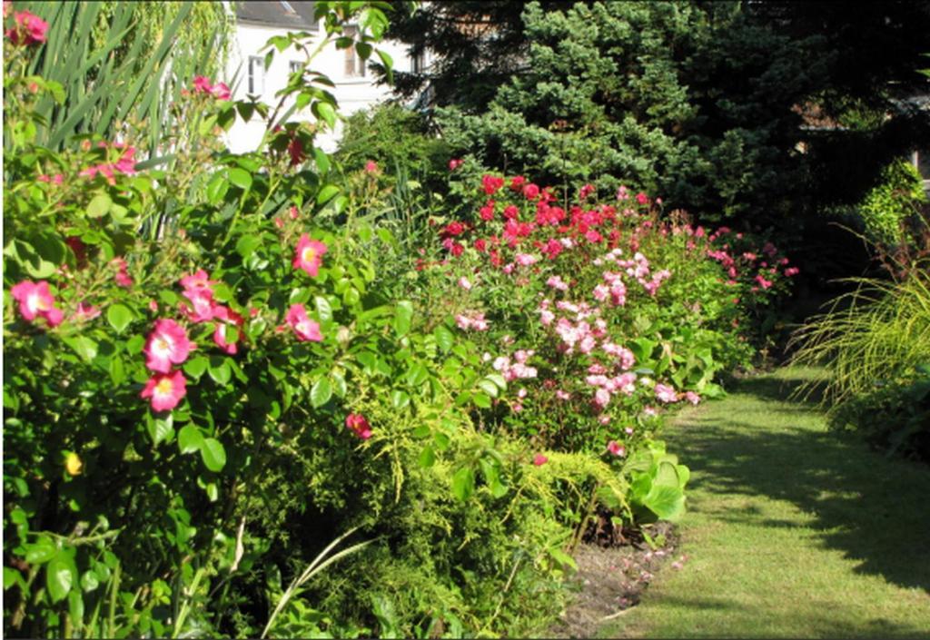 לינה וארוחת בוקר אבוויל Au Jardin Des Deux Ponts מראה חיצוני תמונה